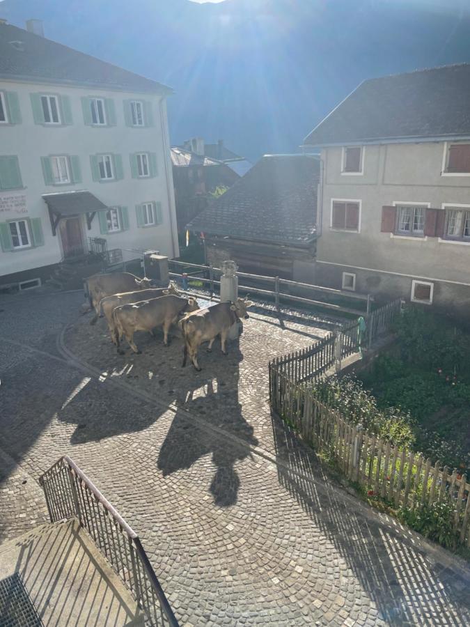 Gasthaus Beverin Farden Εξωτερικό φωτογραφία